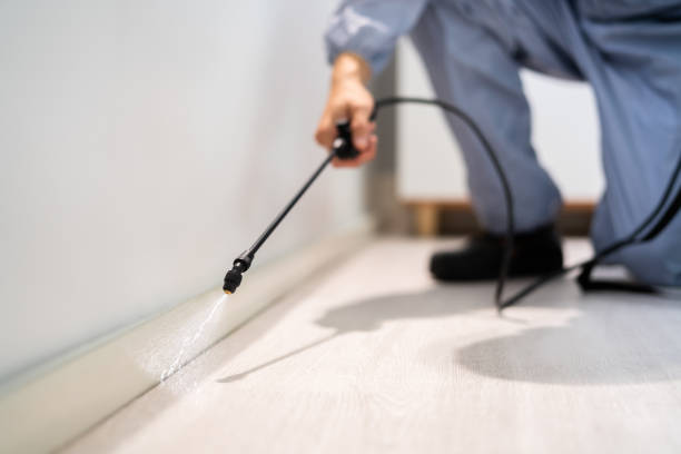 Licensed Fumigation Services service in Manchester, GA - Nex Pest Control