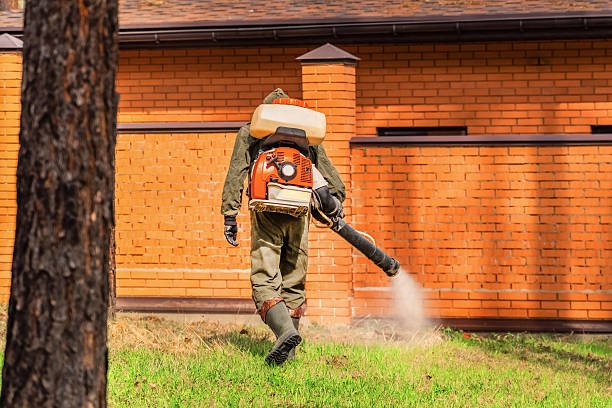 Trusted Cockroach Control service in Manchester, GA - Nex Pest Control